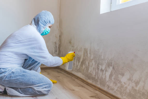 Licensed Bathroom Mold Removal service in Wrightsville, GA - WQB Mold Removal
