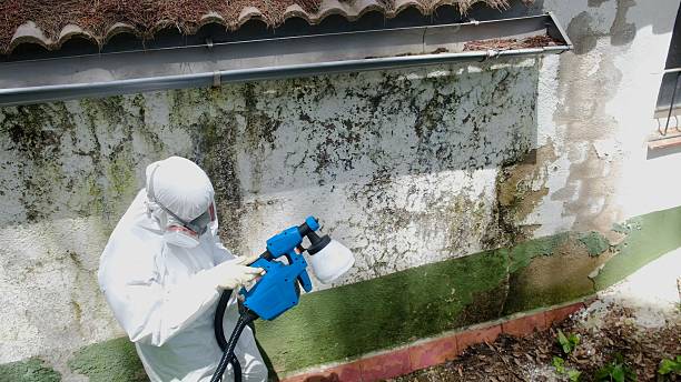 Top rated local Bathroom Mold Removal specialists in Wrightsville, GA